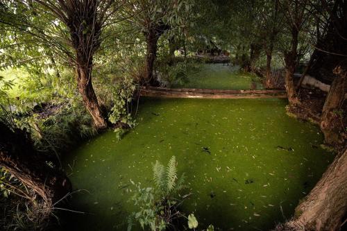 Colina Mărului (Colina Marului) in Vulcana De Sus