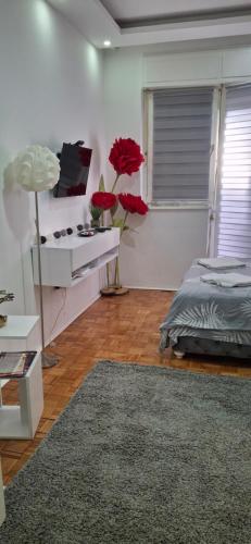 AIK Kula studio - Location saisonnière - Jagodina