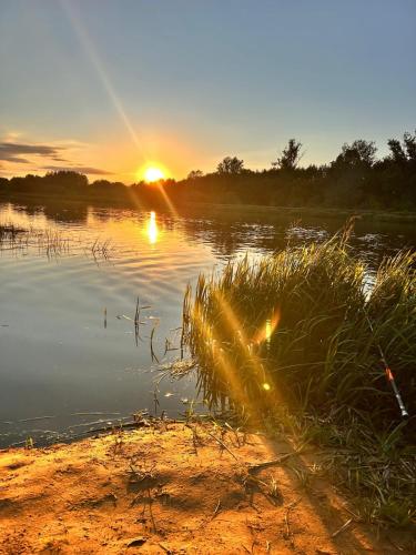 Dom z linią brzegową Narwi 2