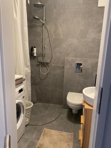 Studio Apartment in Reykjavik in Árbær