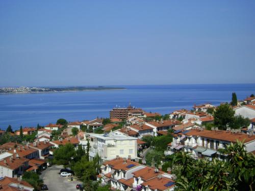 المنظر الخارجي, Milena Apartment in Lucija