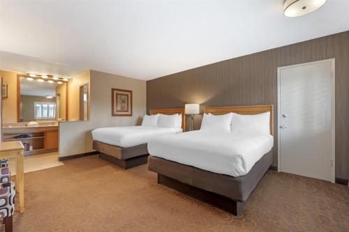 Best Western Plus Pavilions - image 9