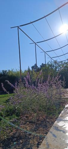 Au Romarin, Cavaillon (fotografie 3)
