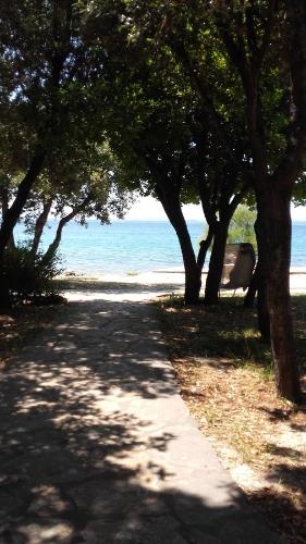 Lily Apartments Punta Skala - image 6