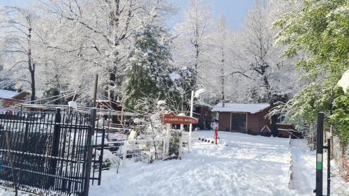 Cabañas De El Abuelo (Cabanas De El Abuelo) in Termas De Chillan