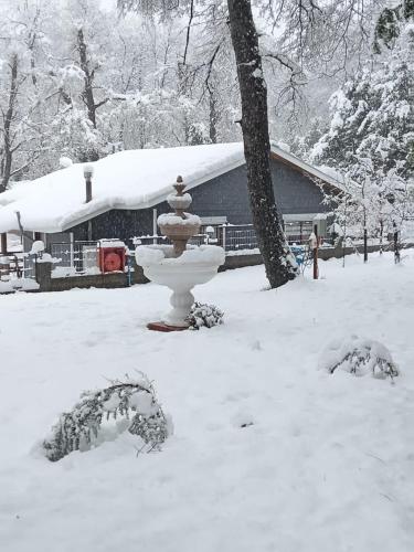 Cabañas De El Abuelo (Cabanas De El Abuelo) in Termas De Chillan