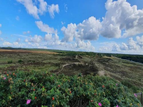 บริการและสิ่งอำนวยความสะดวก, person holiday home in Henne-By Traum in เคียร์เกบี