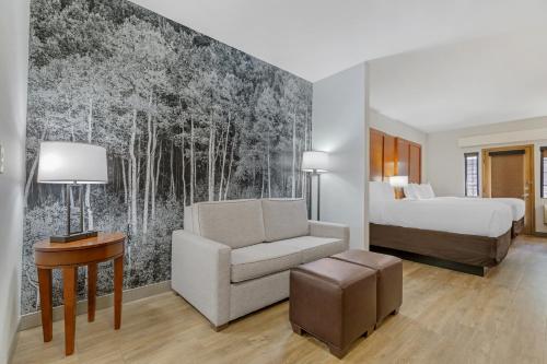 Comfort Suites Golden West on Evergreen Parkway - image 11