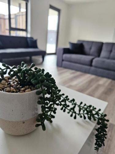 George Town Villa - Outdoor Alfresco - aircon FREE WIFI - Central location near MTB Trails in จอร์จ ทาวน์