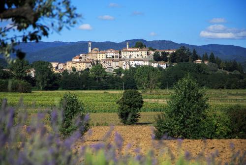 Le Valli di Piero in Monterchi