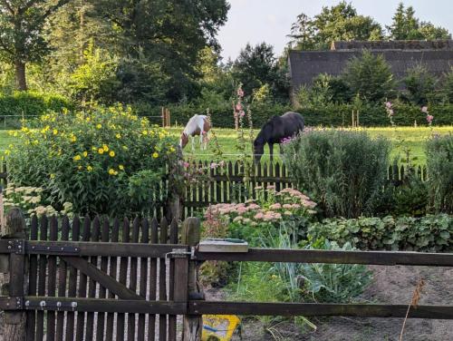 Ferienhaus Jantzen in Wingst