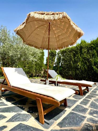 Villa Independiente con Bodega y Barbacoa - perfecto familia y grupos in Alacón