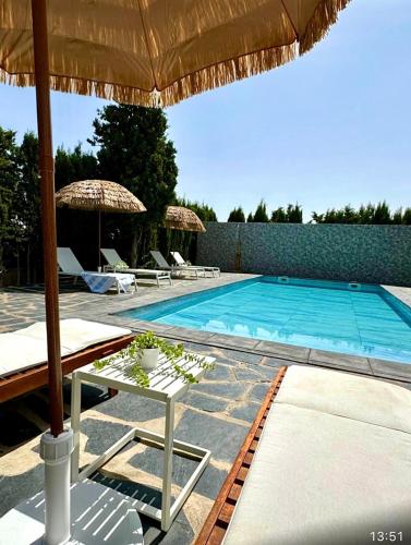 Villa Independiente con Bodega y Barbacoa - perfecto familia y grupos in Alacón