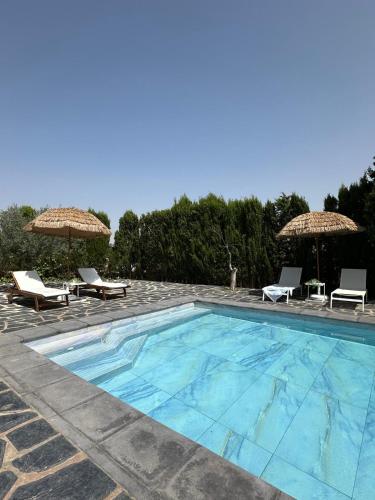 Villa Independiente con Bodega y Barbacoa - perfecto familia y grupos in Alacón