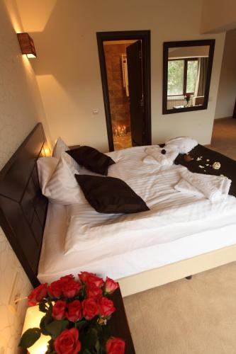 Hotel Par Avion - image 2