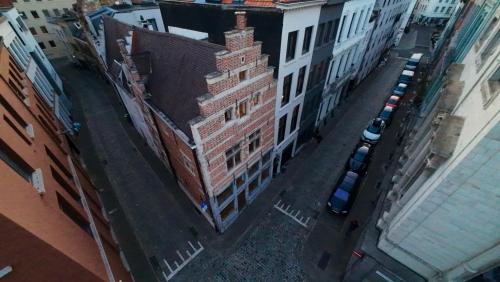 Dolfijn Hostel, Amberes (foto 10)