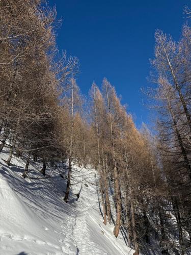 Allalin View, Saas-Fee (Foto 7)