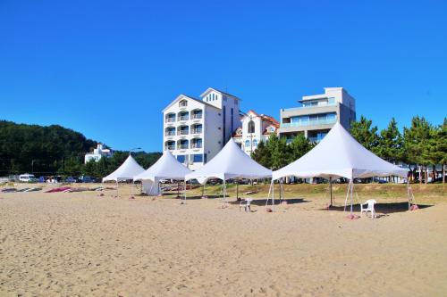 양양 유앤아이 펜션 (U&I Pension) 4성급 싱글룸 부대시설