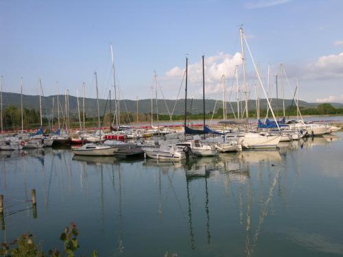 Appartamento Vacanze Magnolia e Glicine
