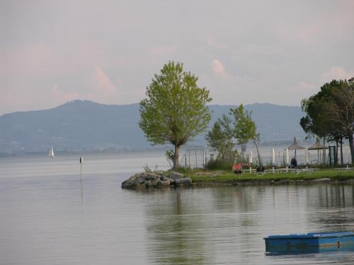 Appartamento Vacanze Magnolia e Glicine