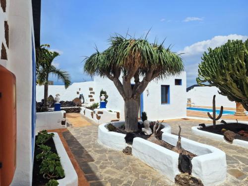 Casa de Hilario - image 5