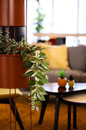 Holiday Inn Express Mechelen City Centre an IHG Hotel - image 13