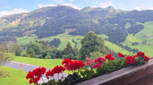Haus Panorama in Gerlosberg, Österreich