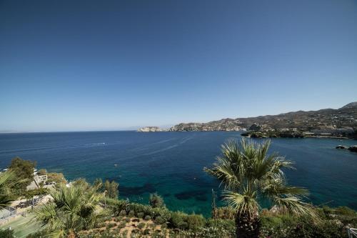 Peninsula Resort & Spa - image 14