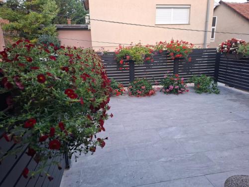 Kaya Apartments