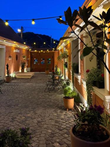 Casa Joy Sighisoara in Sighişoara