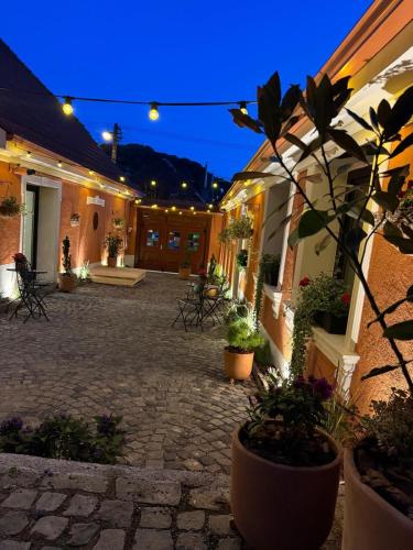 Casa Joy Sighisoara in Sighişoara