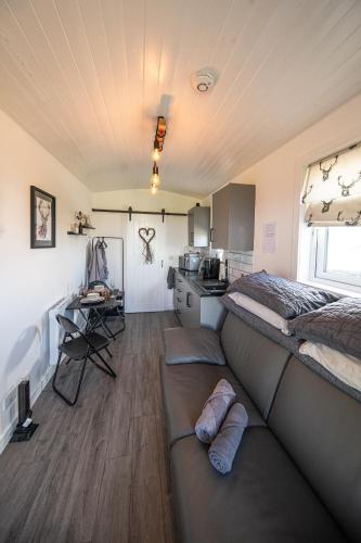 Farr North Lodge 1 By The Sea in Wick