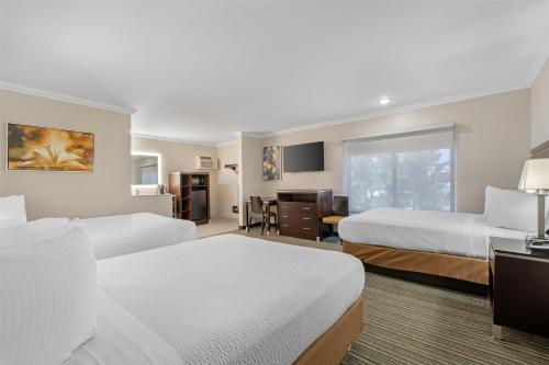 Best Western Courtesy Inn Room Type - Family Room - Non-Smoking