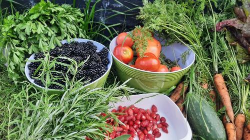 Dawno Temu - Agroturystyka Premium