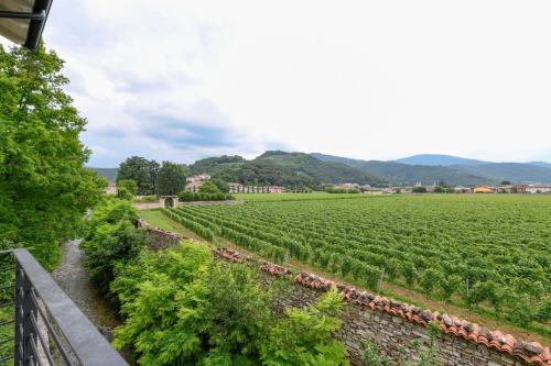 Il Vigneto in 羅登戈薩伊阿諾