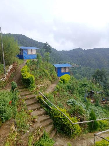 Gaurishankar organic home stay in Balthali