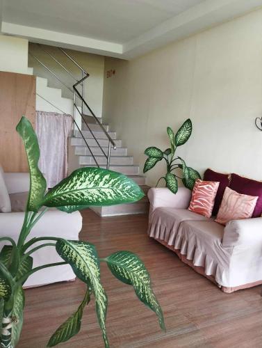 Jazmine Hotel in Milagros