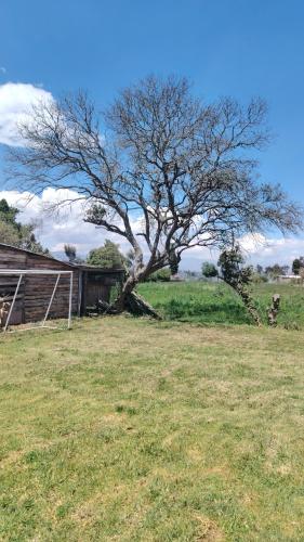 Centro de Aclimatizacion La Casa de Simon Lodge in Tanicuchi