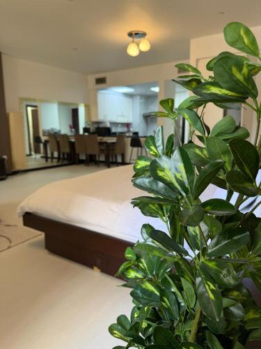 Luxury Studio in Murjan 2, JBR, Дубай