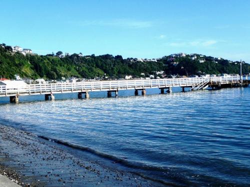 Guest Room A Flat 2 33a Ventnor Street Seatoun, Wellington in Seatoun