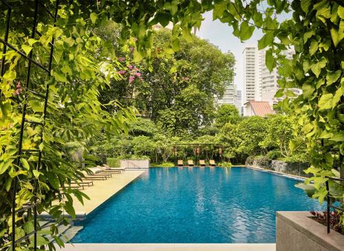 Piscină, Grand Hyatt Singapore in Orchard