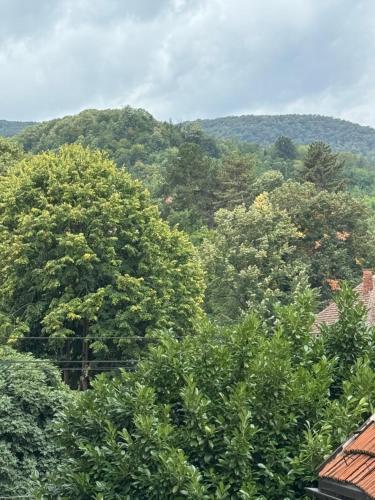 สภาพแวดล้อมโดยรอบ, Primavera apartments Banja Koviljaca in บันยา โควิลยาซา