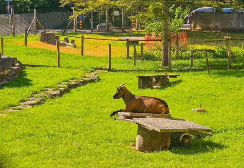 Refugium zur alten Kutsche in ไรน์เฟ็ลเด็น
