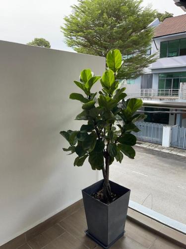 Dream Home Landed Balik Pulau in Balik Pulau