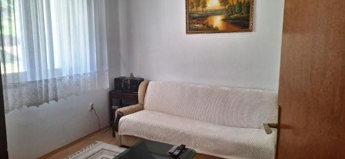 Guestroom, Diverso in Zelenika