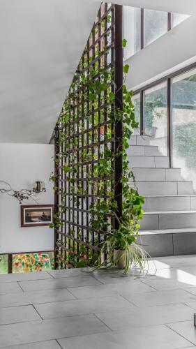 Tampilan eksterior, Equilibrium Restart in Piatra Neamt