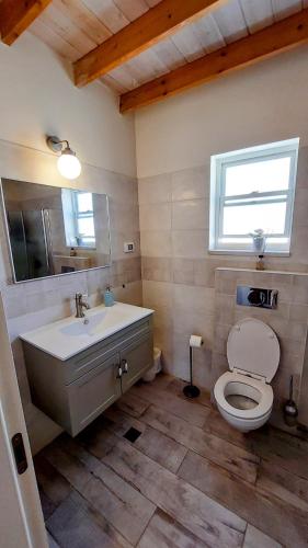 Bany, ליד המצוק in Mitzpe Ramon