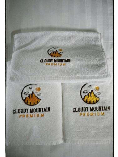 Cloudy Mountain Premium - image 5