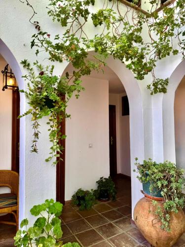 Hospederia Casa de las Piedras in Гразалєма