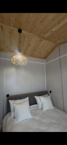 Nohurgöl villa (Nohurgol villa) in Nohurqishlaq